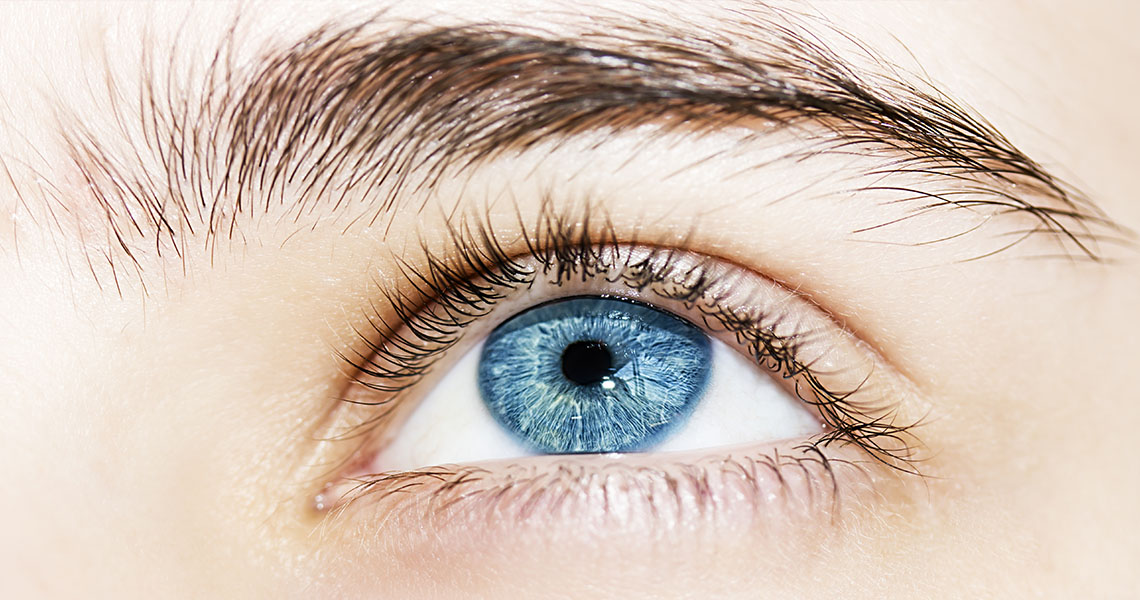 Eyelash and Eyebrow Tints